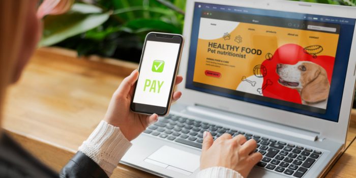 apa itu website mobile friendly