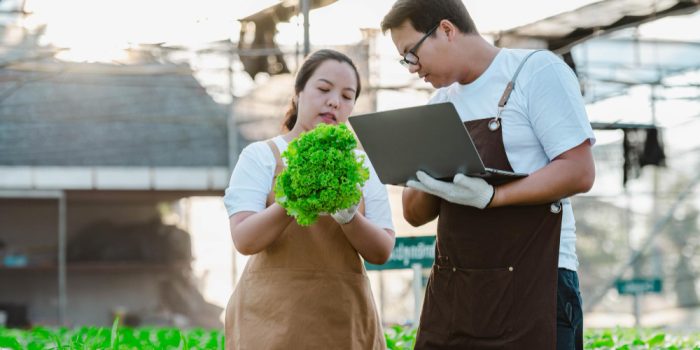 apakah usaha agrobisnis masih ok di 2026